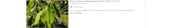 Youtube kanava